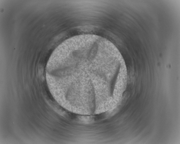 X0000080720187200701051043