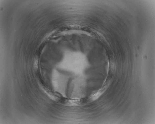 X0000080720188200701051043