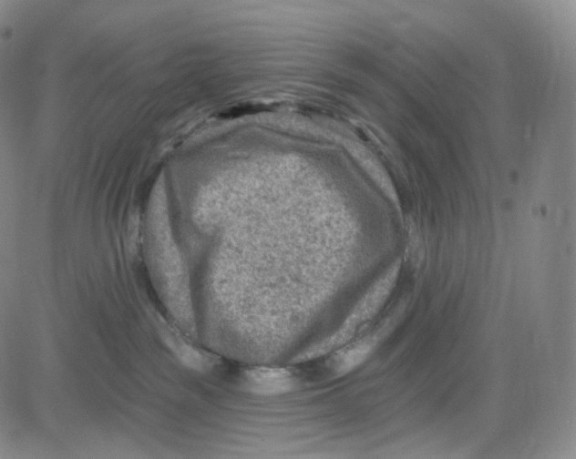 X0000080720189200701051043