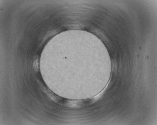 X0000080720190200701051043