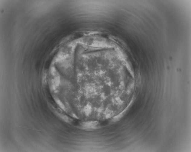 X0000080720191200701051043