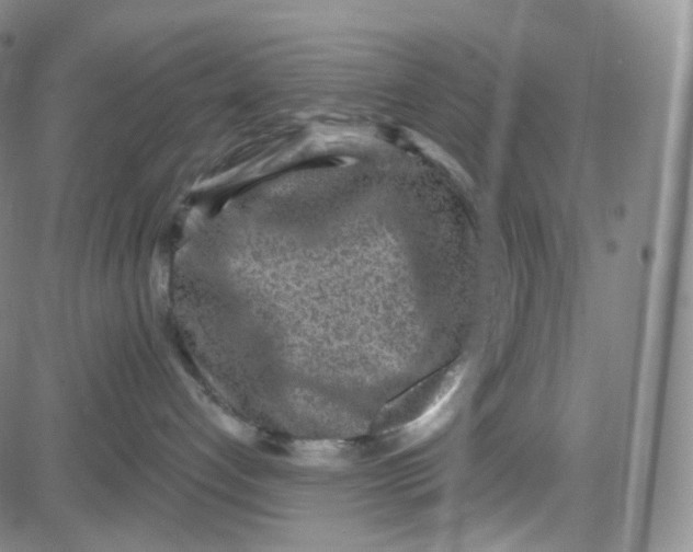 X0000080720192200701051043