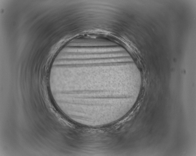 X0000080720193200701051043