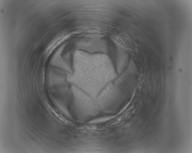 X0000080720194200701051042