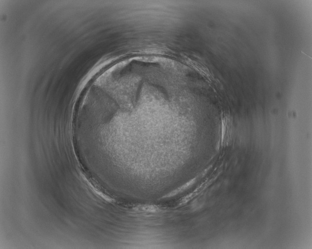 X0000080720195200701051042