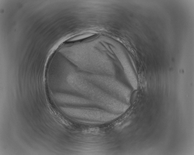 X0000080720196200701051042