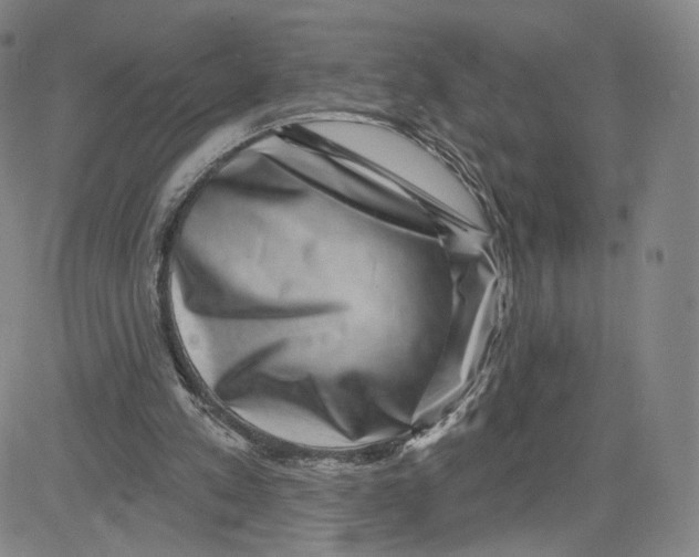 X0000080720197200701051042