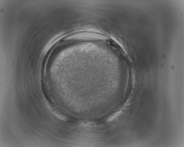 X0000080720199200701051042