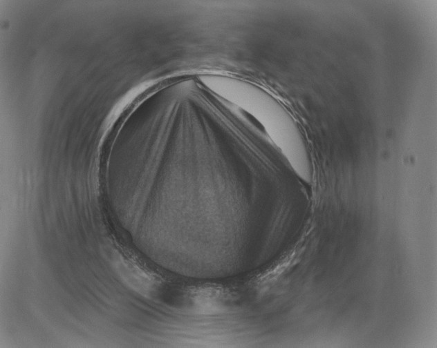 X0000080720200200701051042