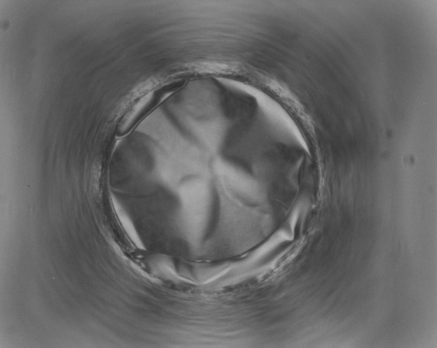 X0000080720201200701051042