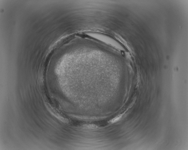 X0000080720203200701051042