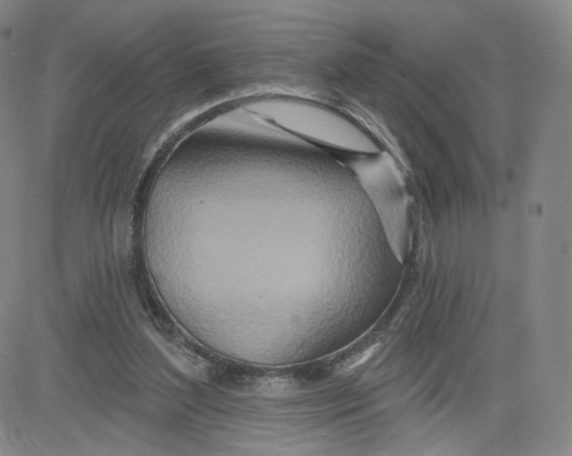 X0000080720204200701051042