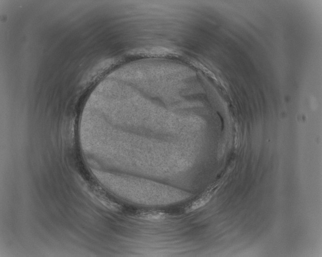 X0000080720206200701051042