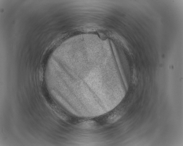 X0000080720210200701051042