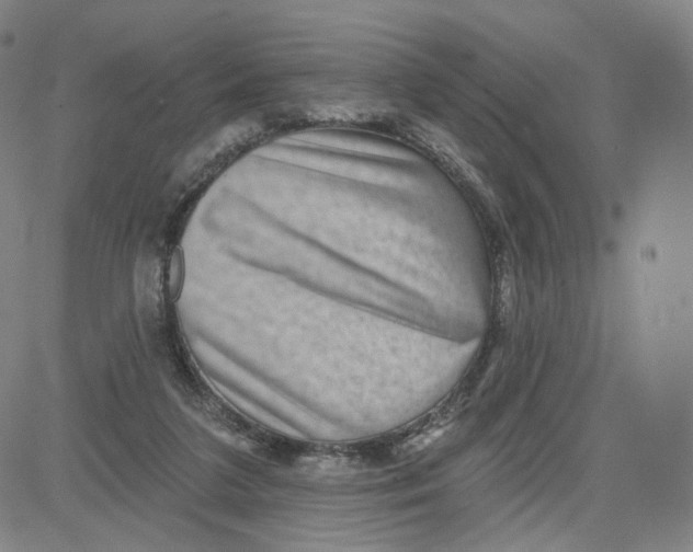 X0000080720211200701051042