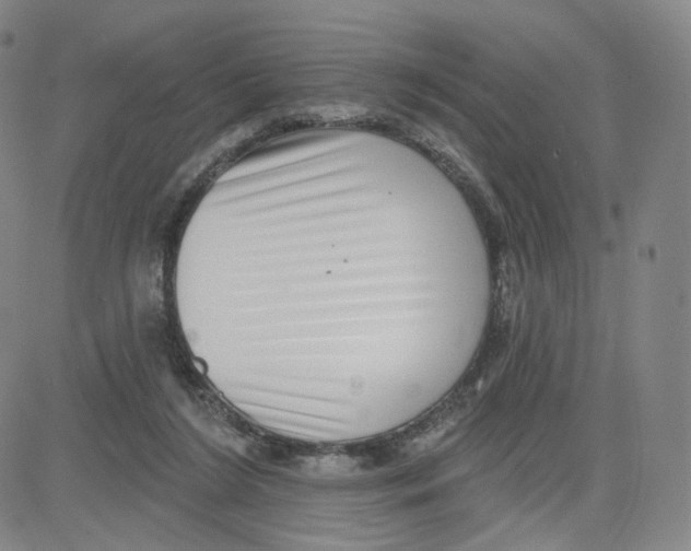 X0000080720212200701051042