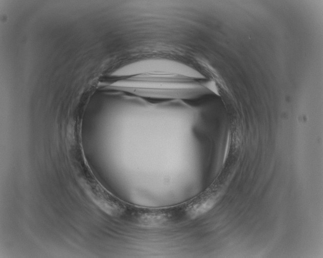 X0000080720213200701051042