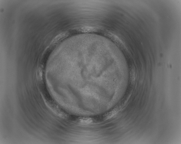 X0000080720214200701051042