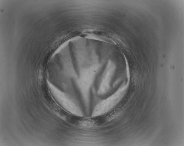 X0000080720215200701051042