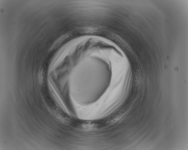 X0000080720216200701051042