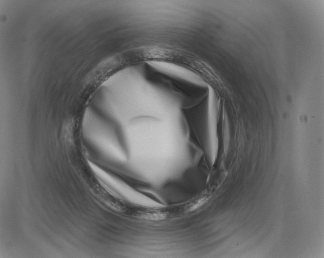 X0000080720217200701051042