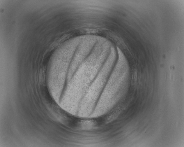 X0000080720218200701051042