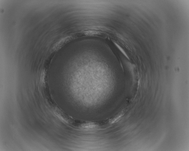 X0000080720219200701051042