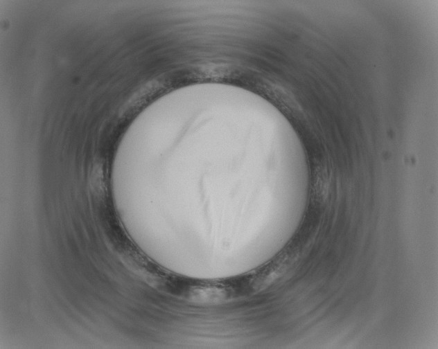 X0000080720220200701051042