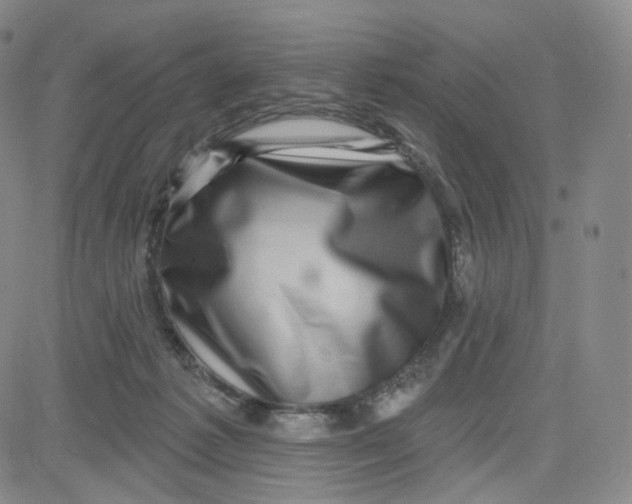 X0000080720221200701051042