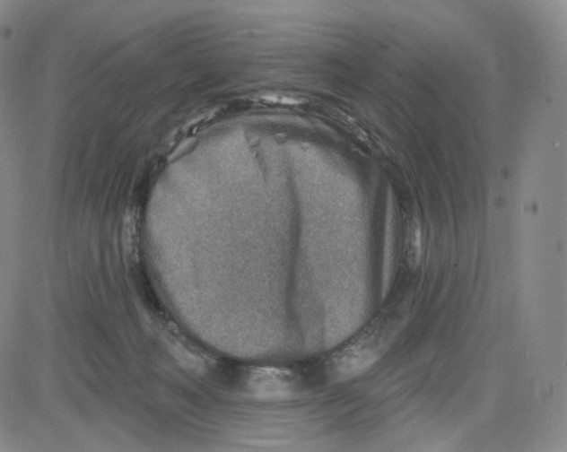 X0000080720222200701051042