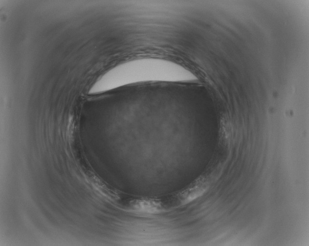 X0000080720223200701051042