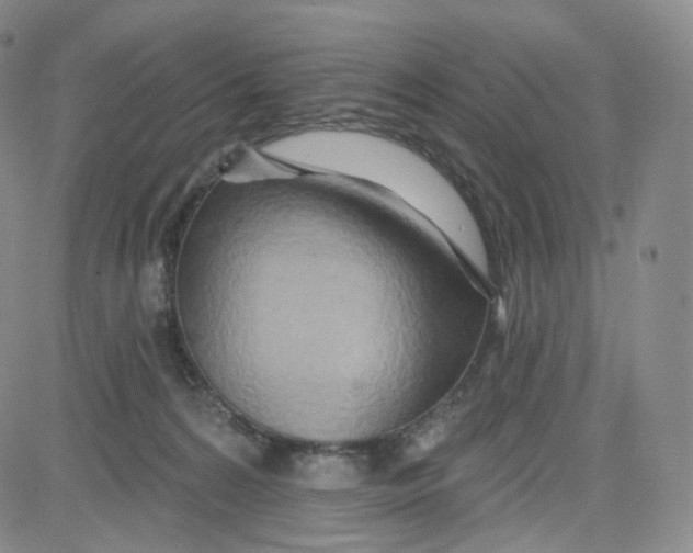 X0000080720224200701051042