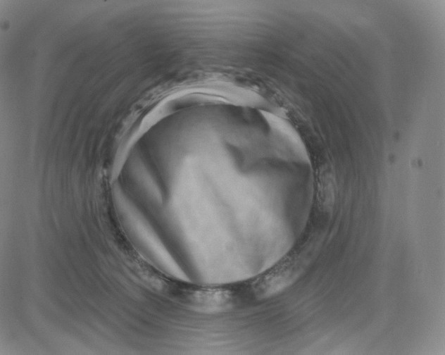 X0000080720225200701051042