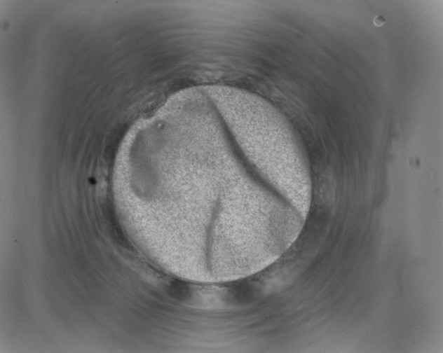 X0000080720226200701051042