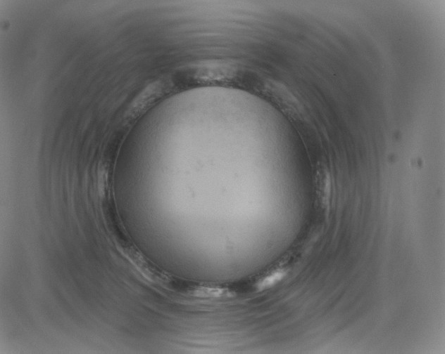 X0000080720227200701051042