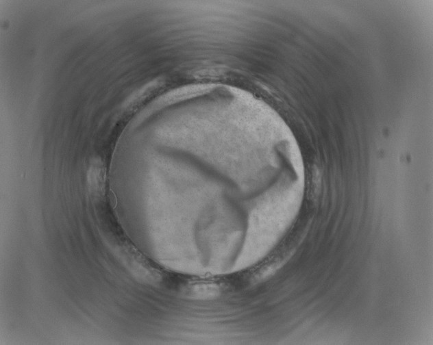 X0000080720228200701051042