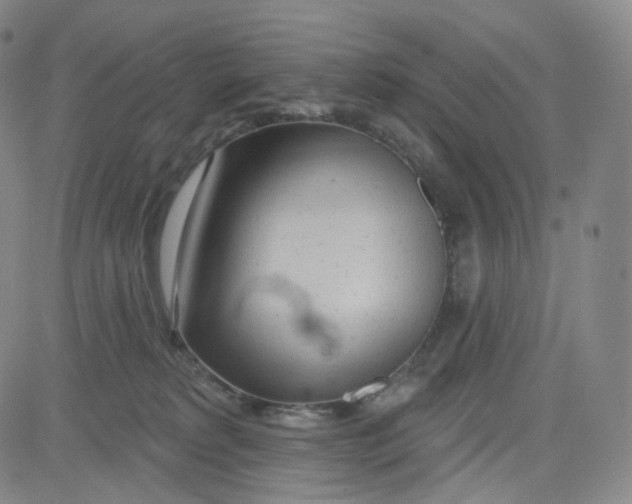 X0000080720229200701051042