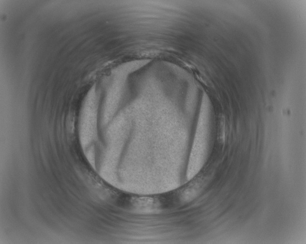 X0000080720230200701051042