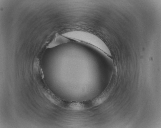 X0000080720231200701051042