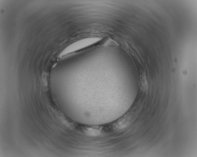 X0000080720232200701051042