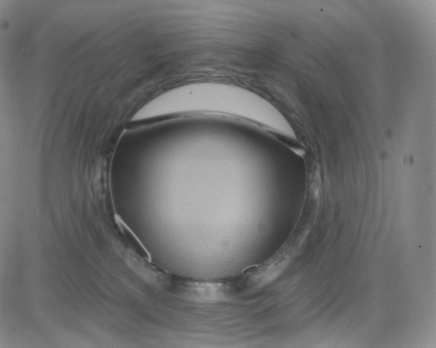 X0000080720233200701051042