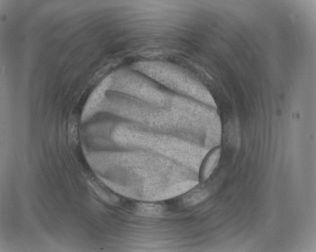 X0000080720234200701051042