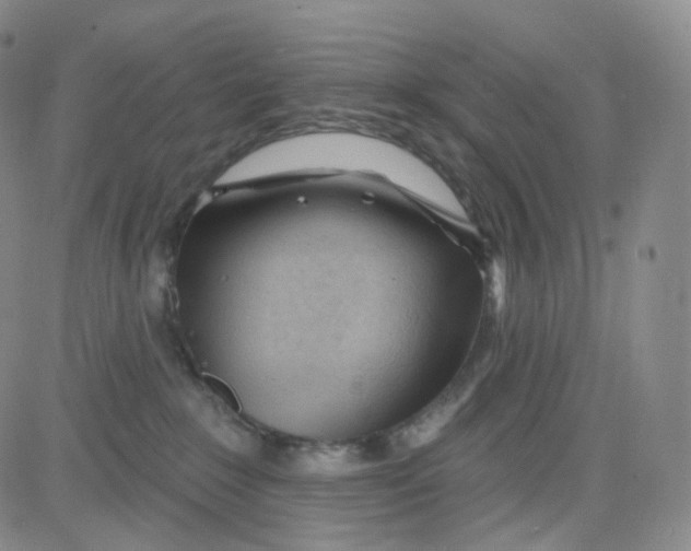 X0000080720235200701051042