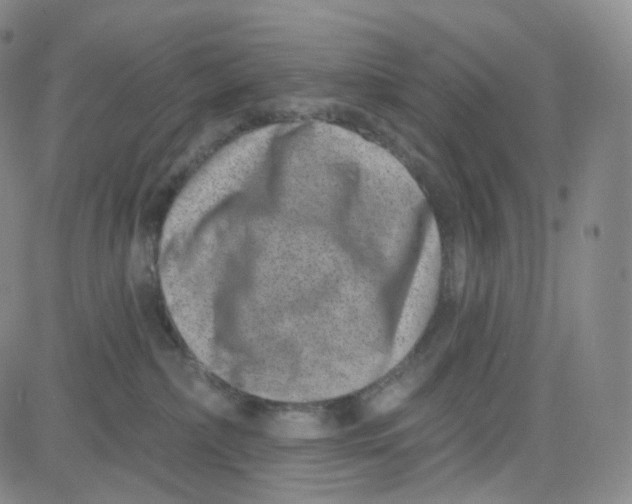 X0000080720236200701051042