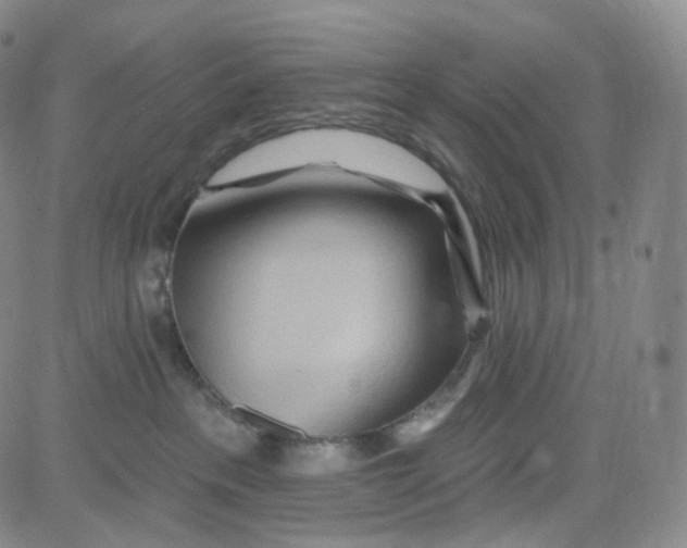 X0000080720237200701051042