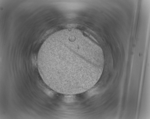 X0000080720240200701051042