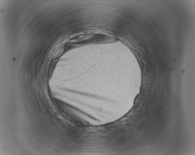 X0000080720241200701051041