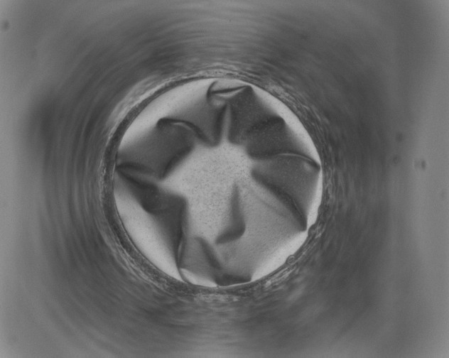 X0000080720242200701051041