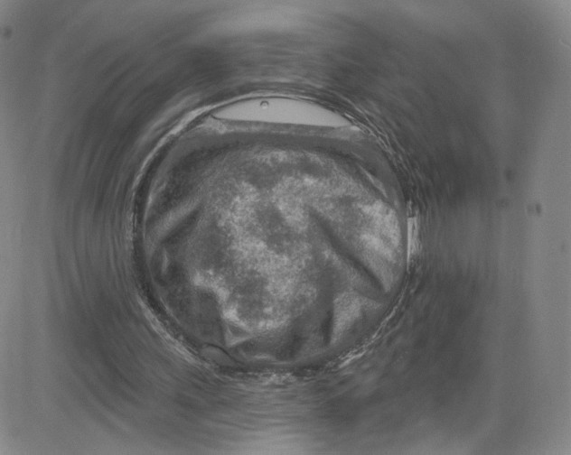 X0000080720243200701051041