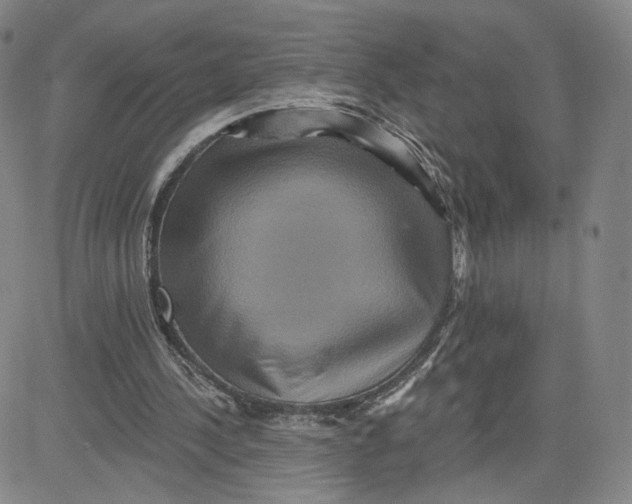 X0000080720244200701051041